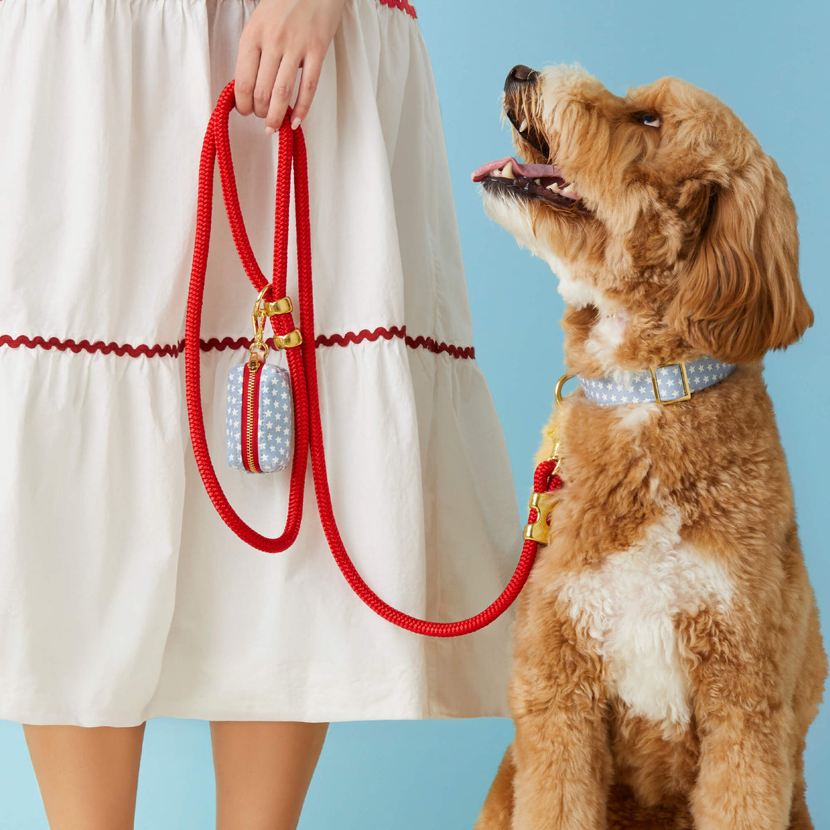 Liberty Collar Walk Set