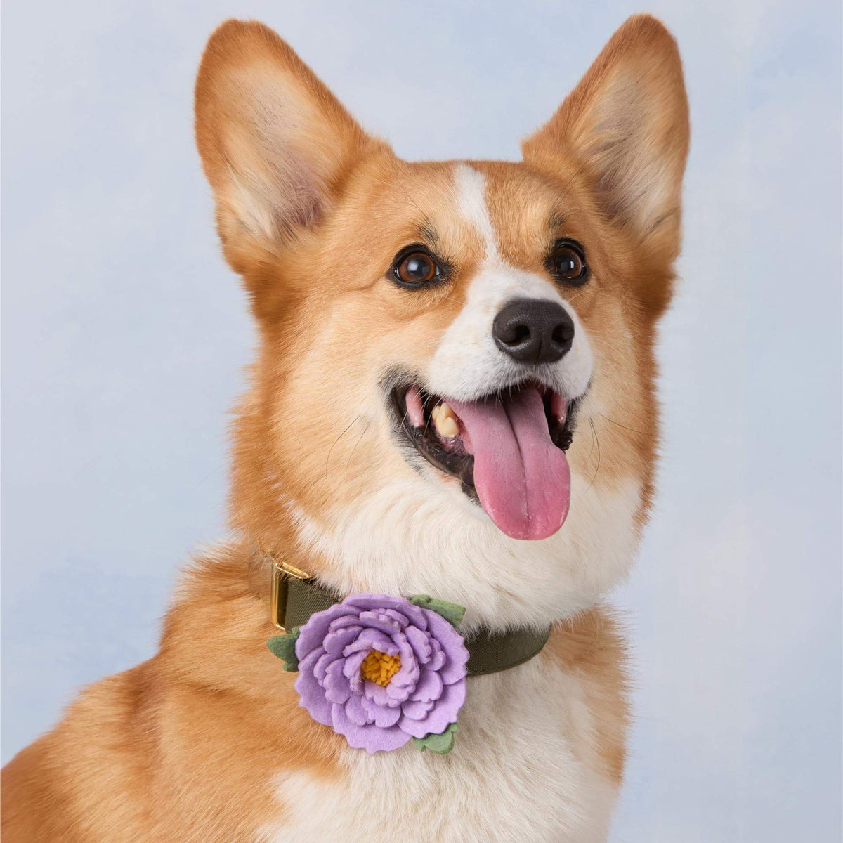 Lilac Peony Dog Collar Flower Set
