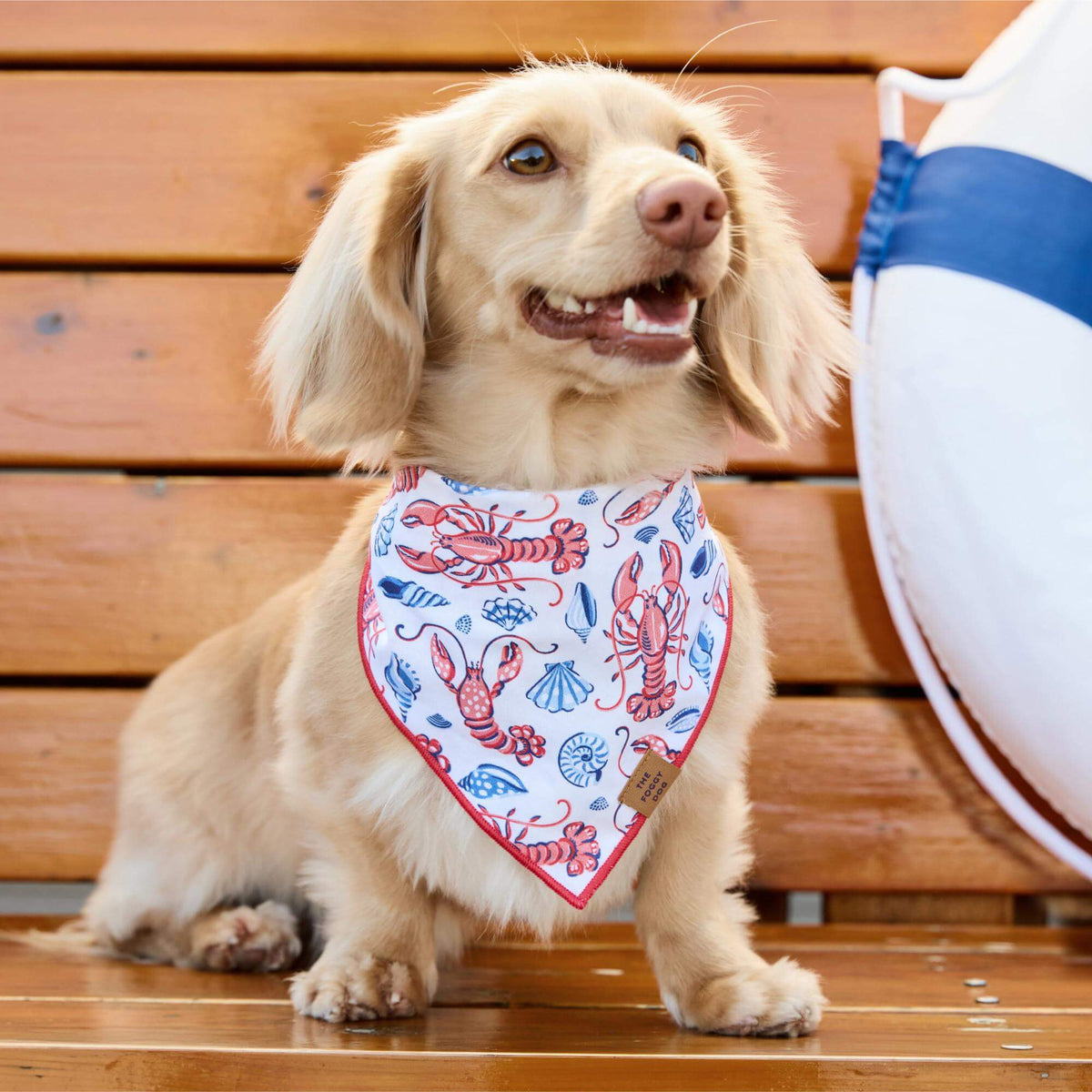Printfresh x TFD Lobster Landing Mom + Dog Matching Gift Set (Short PJs)