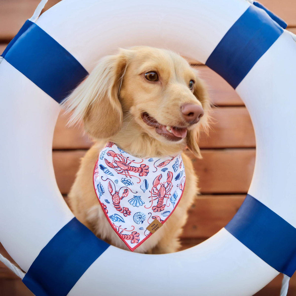 Printfresh x TFD Lobster Landing Dog Bandana