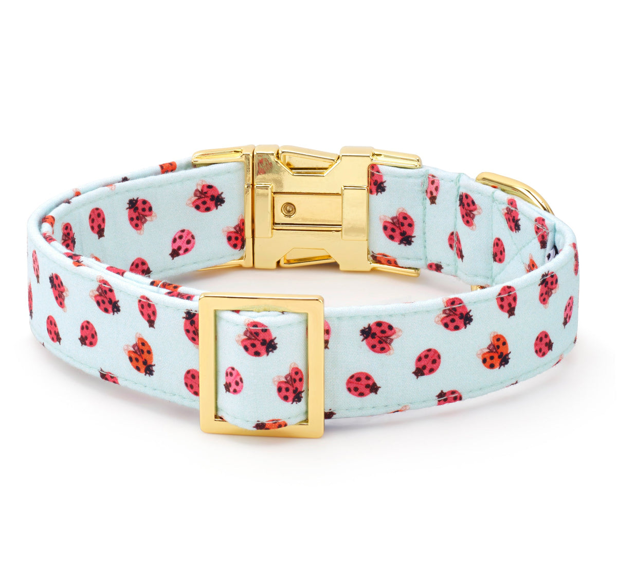 Love Bug Dog Collar