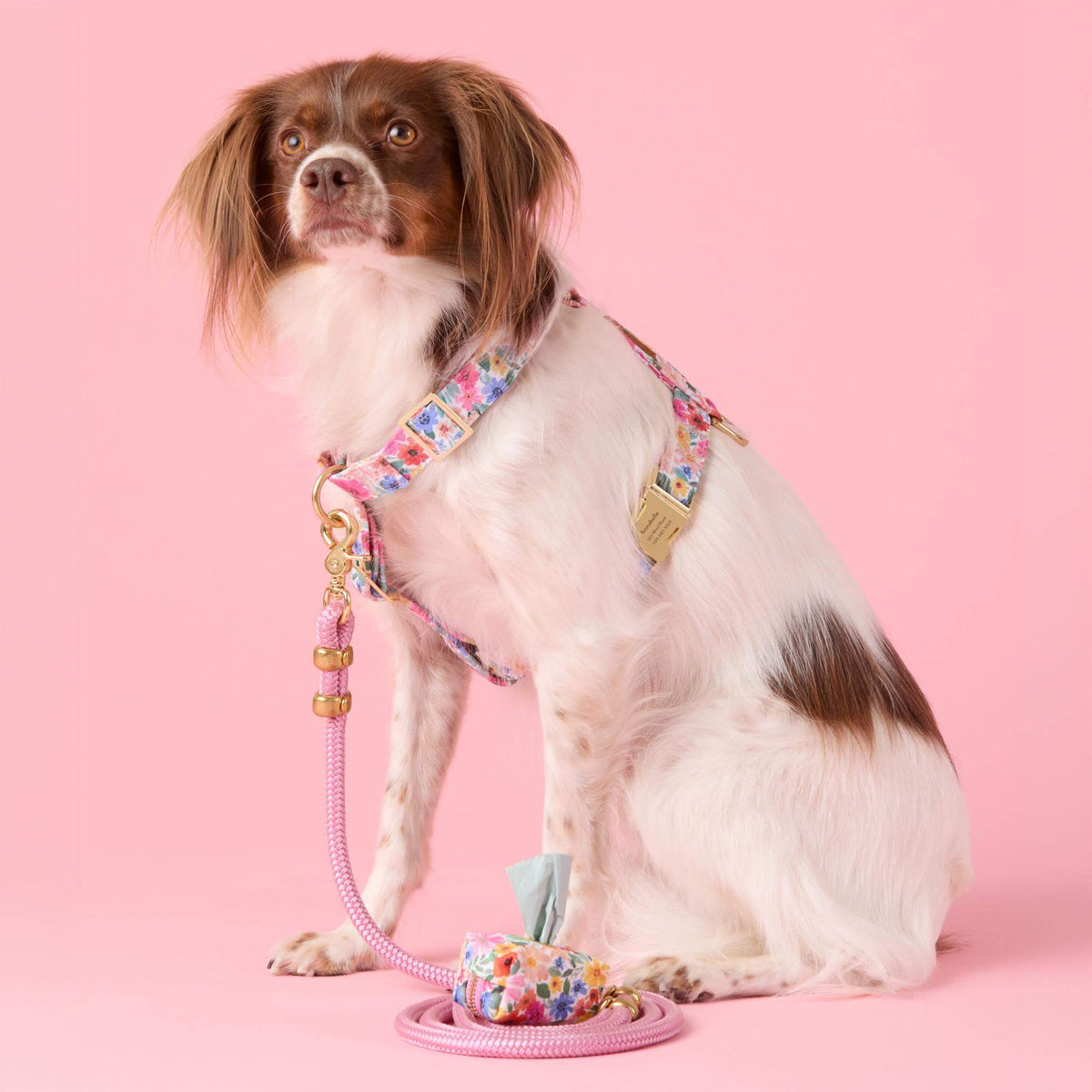 Margaux Harness Walk Set