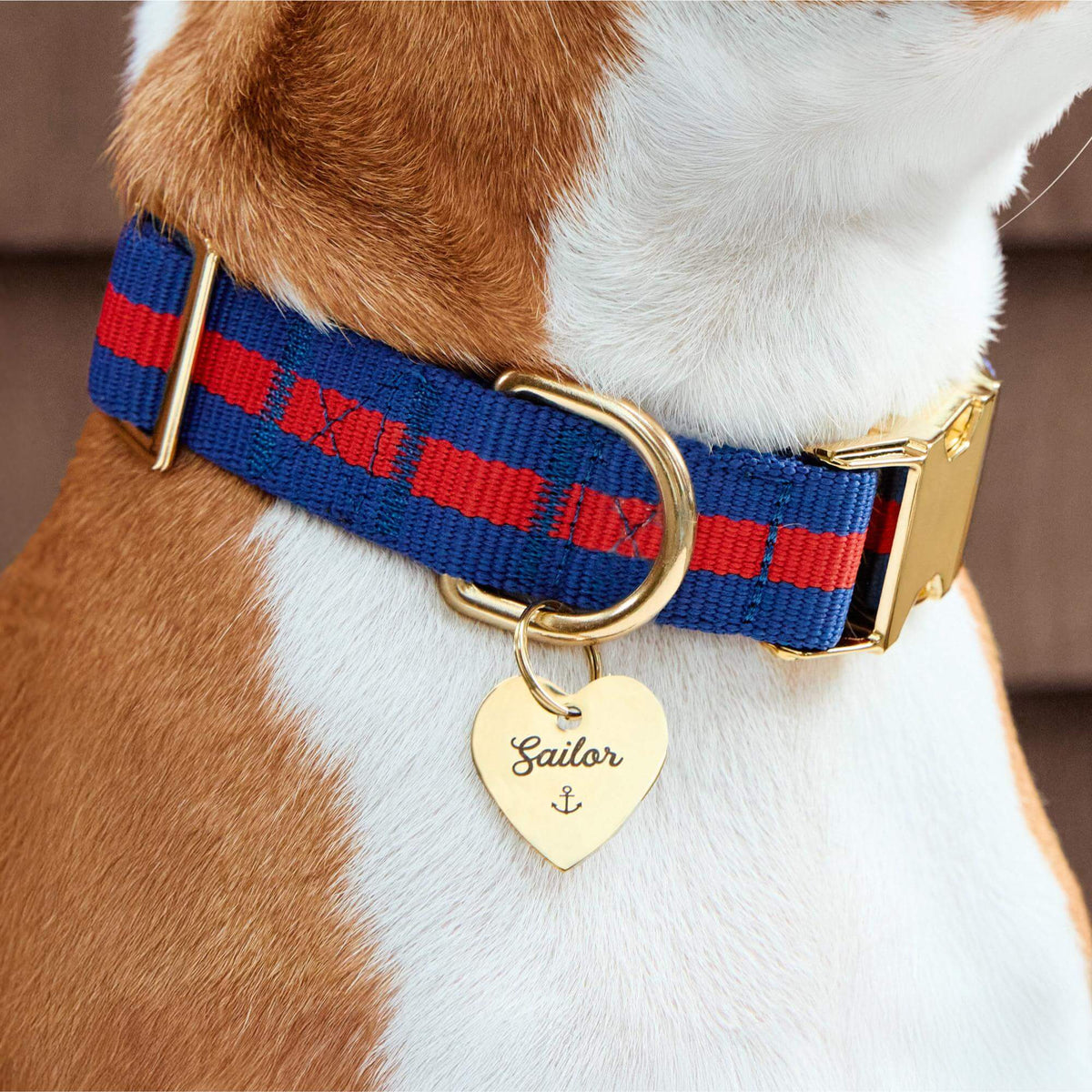 Heart Pet ID Tag: Anchor Icon
