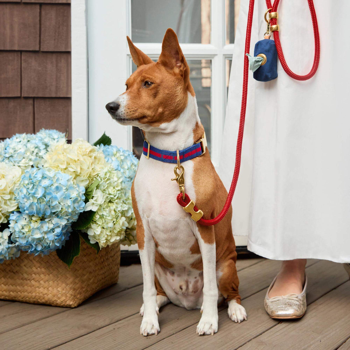 Ruby Marine Rope Dog Leash