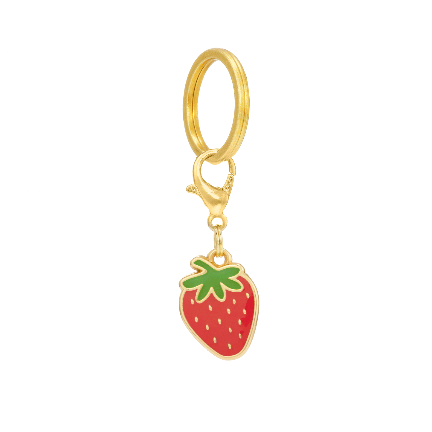 Strawberry Patch Collar Charm Set