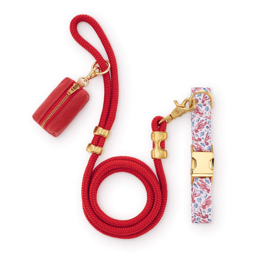 Printfresh x TFD Lobster Landing Collar Walk Set