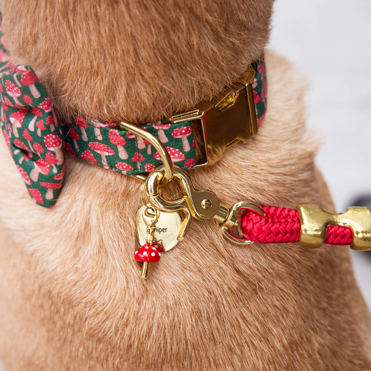 Toadstool Collar Charm