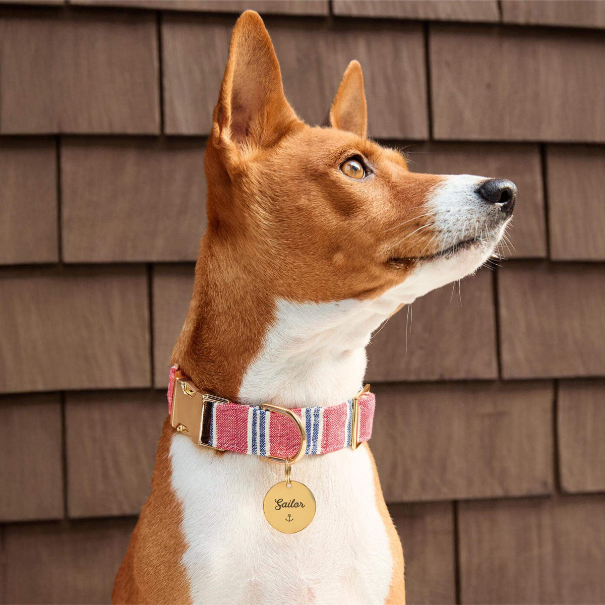 Circle Pet ID Tag: Anchor Icon