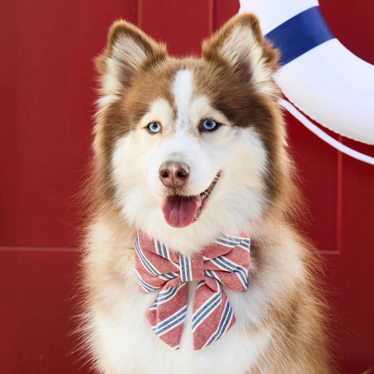 Nantucket Stripe Lady Dog Bow