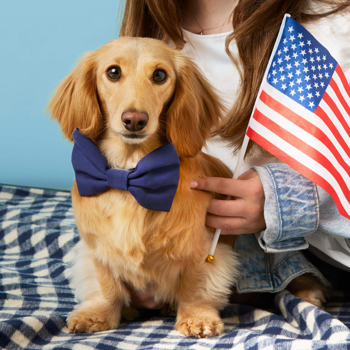 Ocean Dog Bow Tie