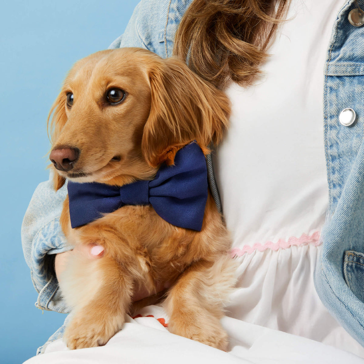 Ocean Bow Tie Collar