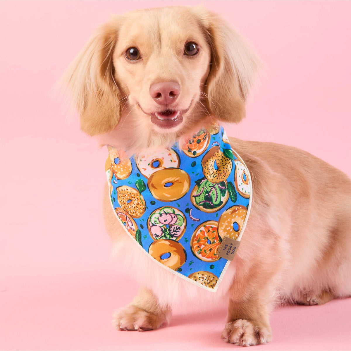 Printfresh x TFD Bagels & Schmear Mom + Dog Matching Gift Set (Short PJs)