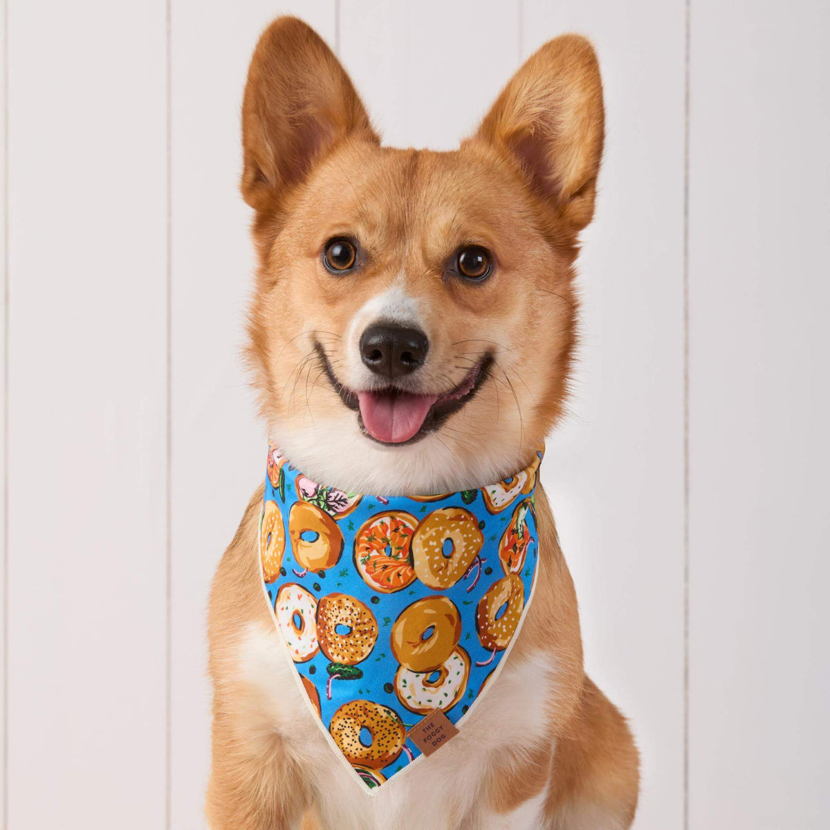 Printfresh x TFD Bagels & Schmear Mom + Dog Matching Gift Set (Short PJs)