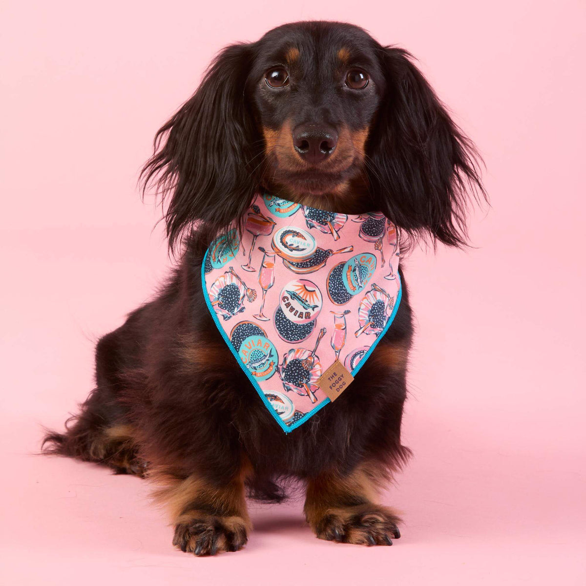 Printfresh x TFD Champagne & Caviar Dog Bandana