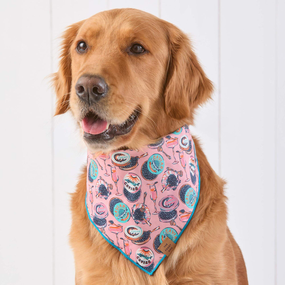 Printfresh x TFD Champagne & Caviar Mom + Dog Matching Gift Set (Long PJs)