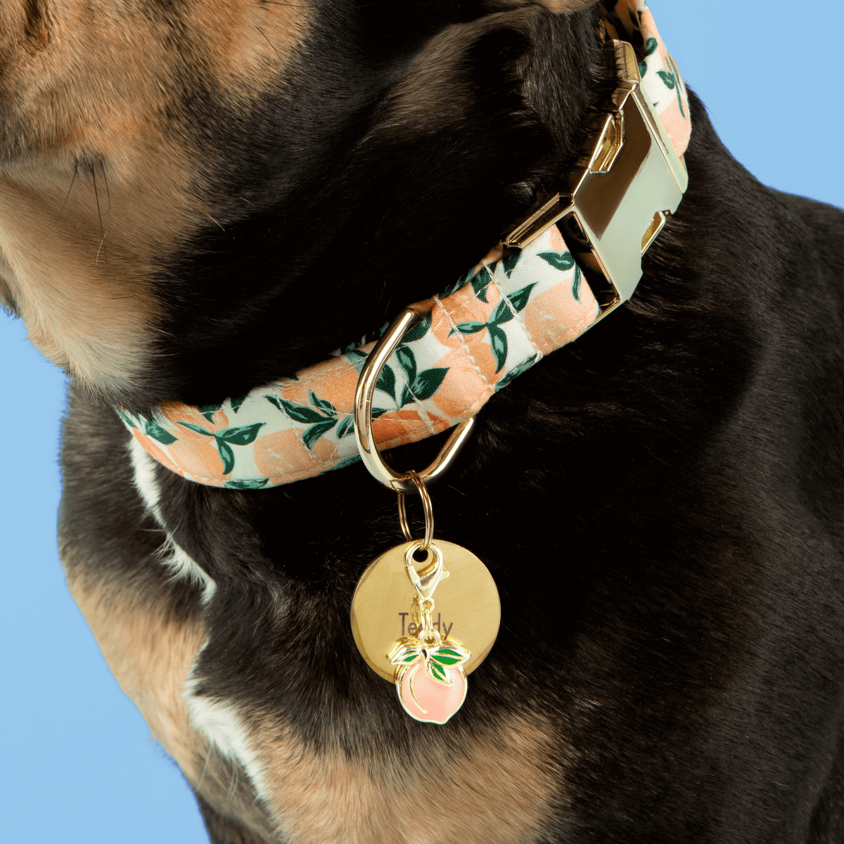 Peach Collar Charm