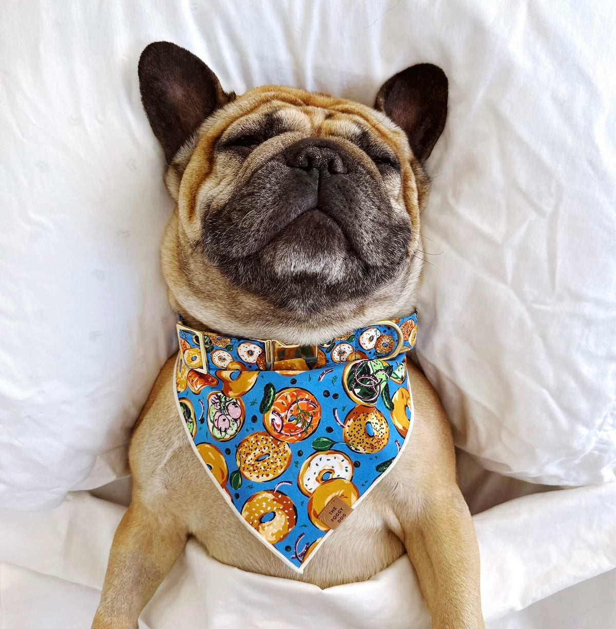 Printfresh x TFD Bagels & Schmear Dog Bandana