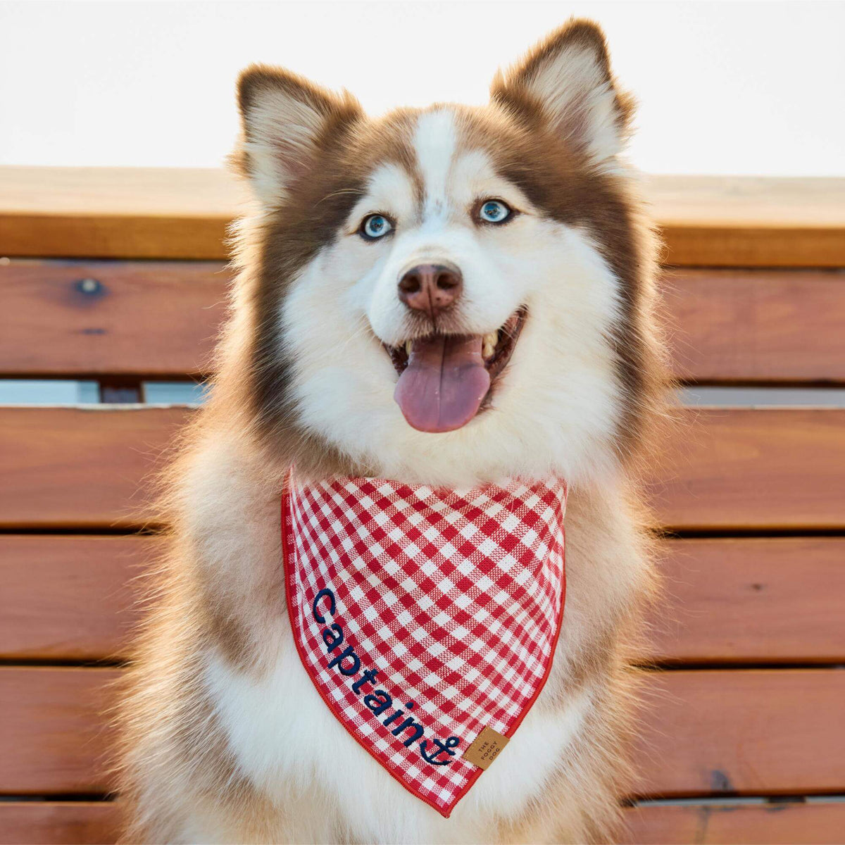 Red Gingham Dog Bandana