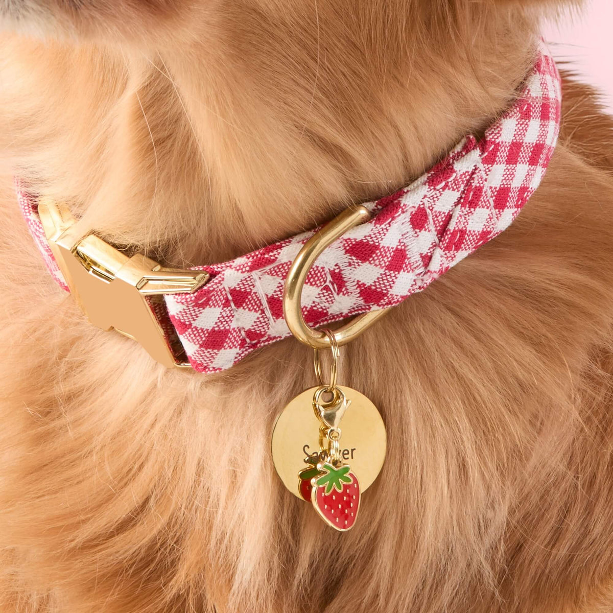 Strawberry Collar Charm