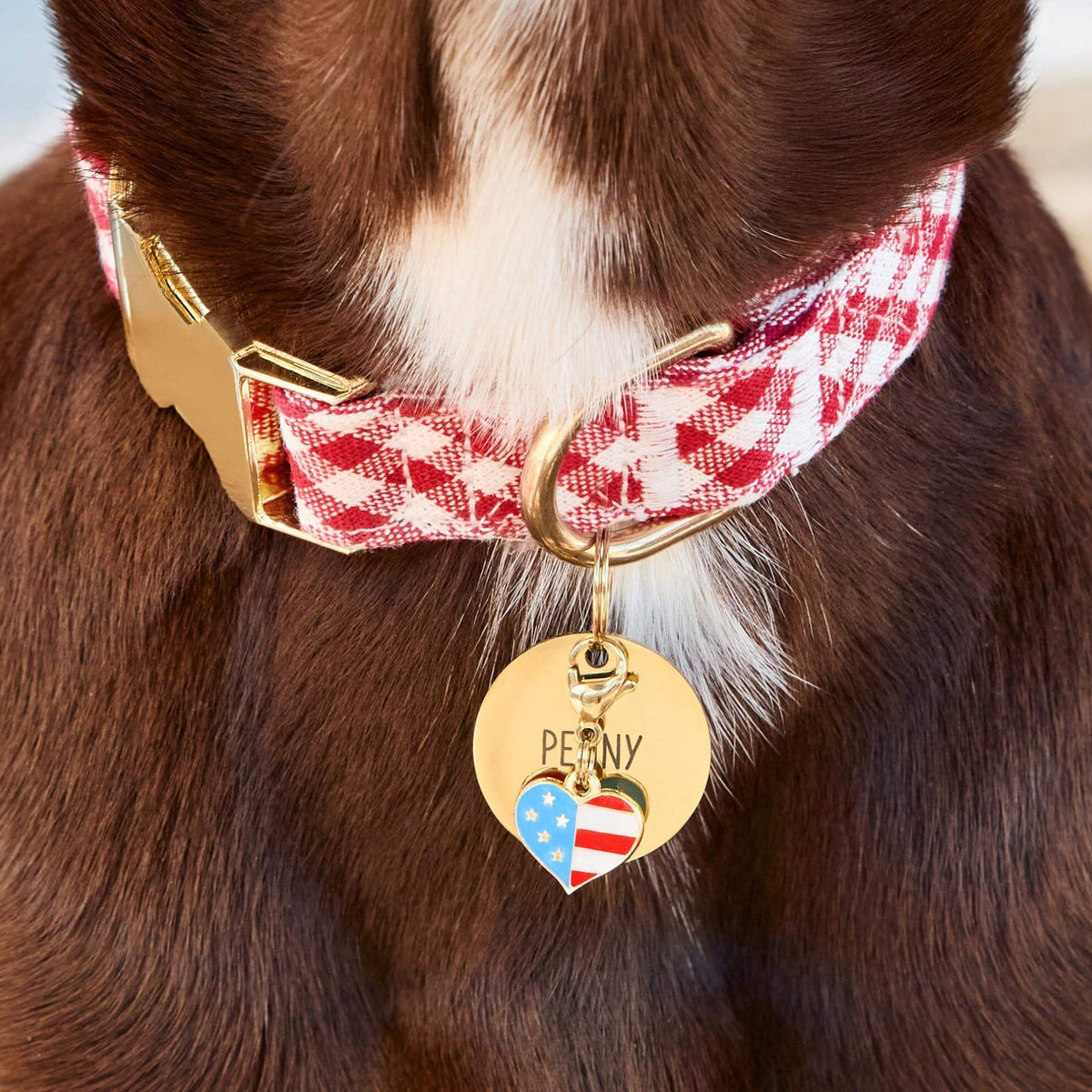 I Heart America Collar Charm