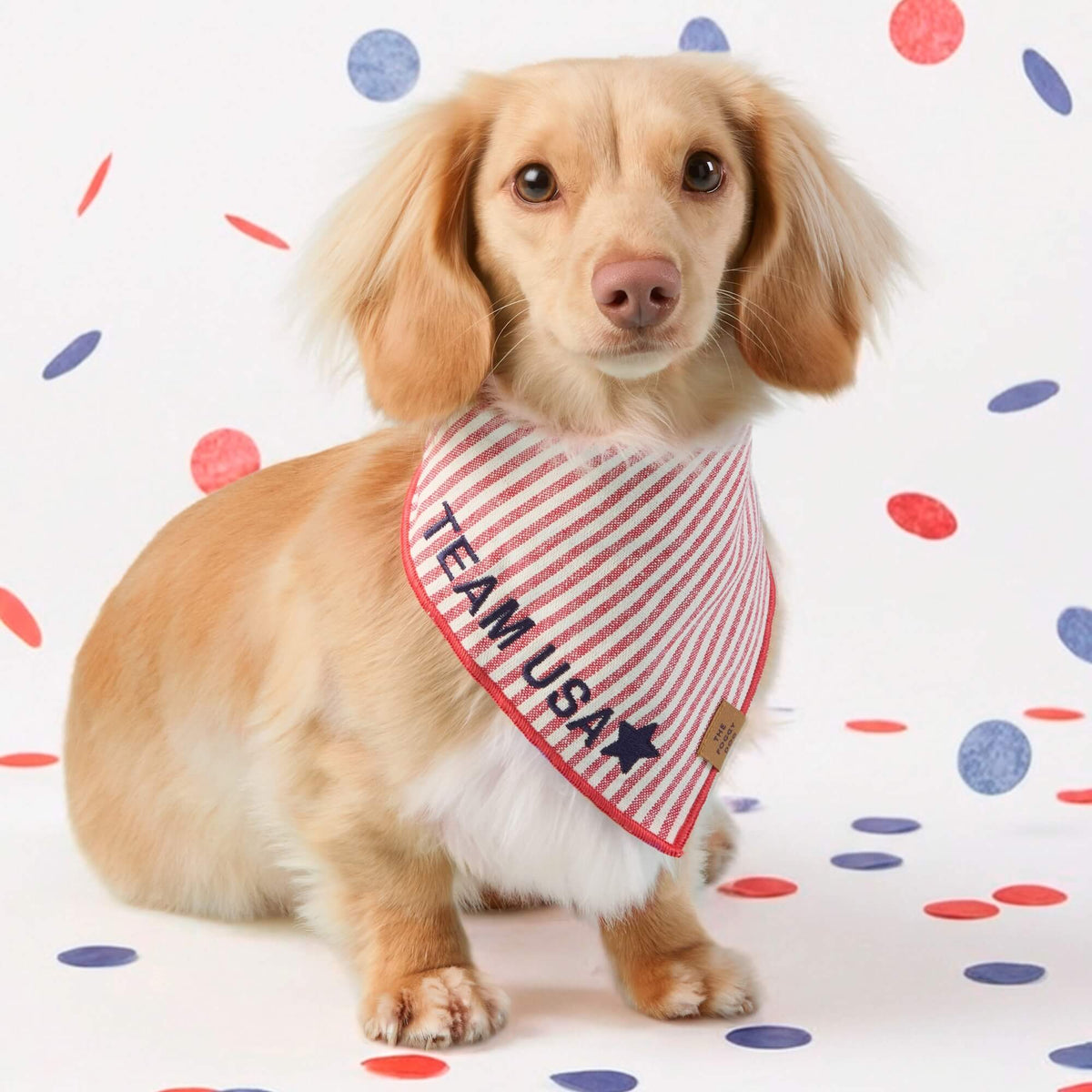 Red Stripe Dog Bandana