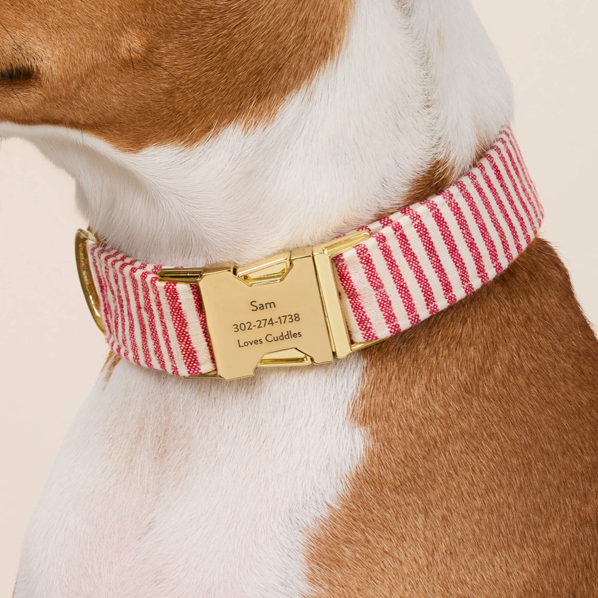 Red Stripe Dog Collar
