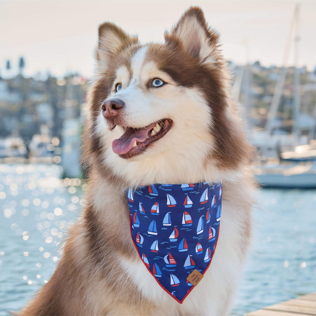 Regatta Dog Bandana