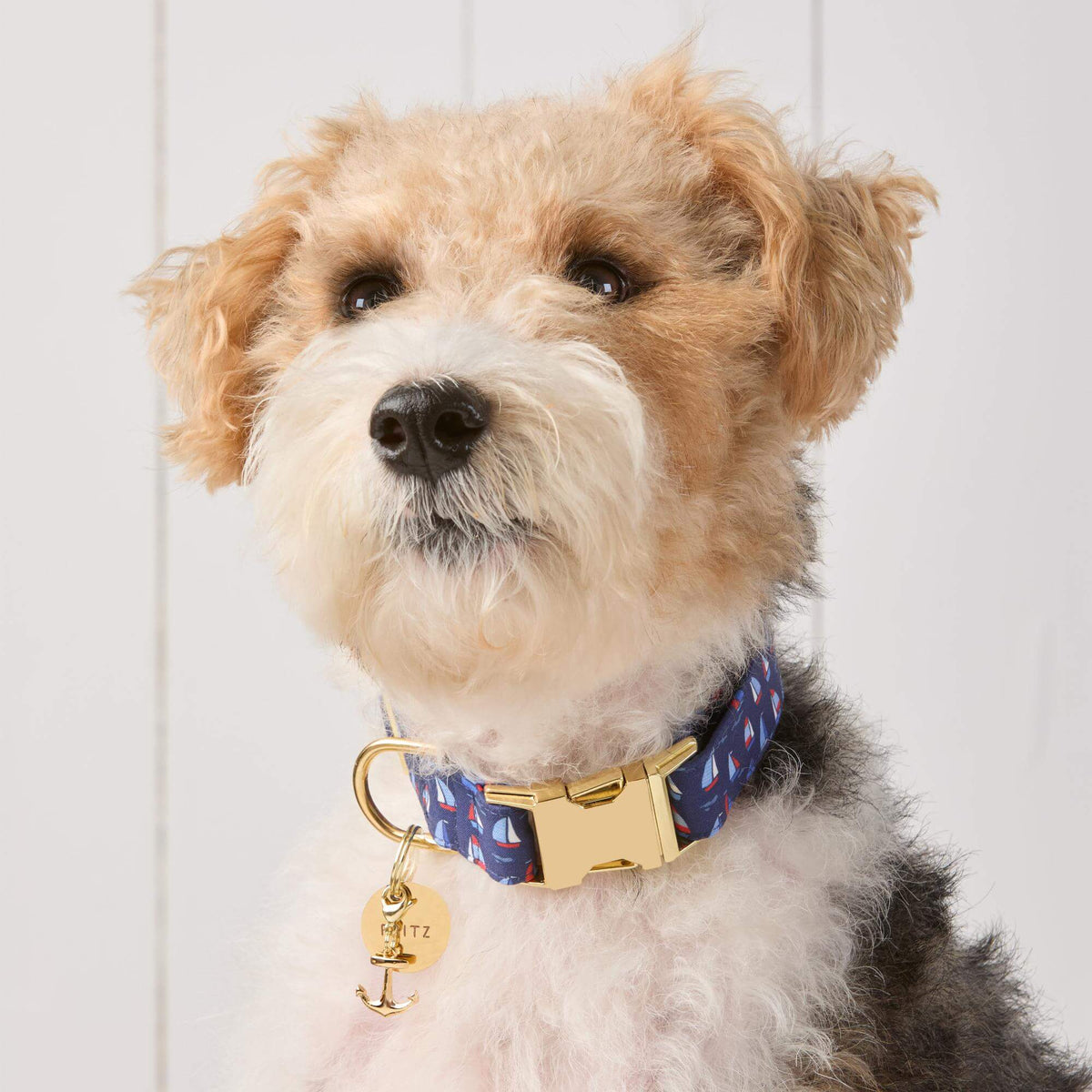 Gold Anchor Collar Charm
