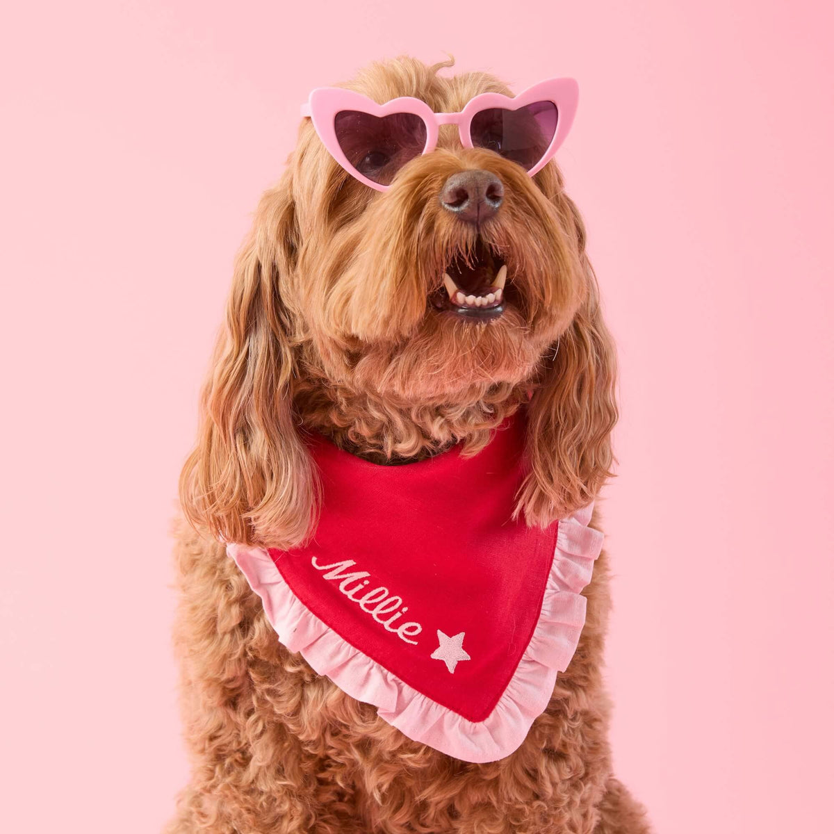 Valentine Ruffle Dog Bandana