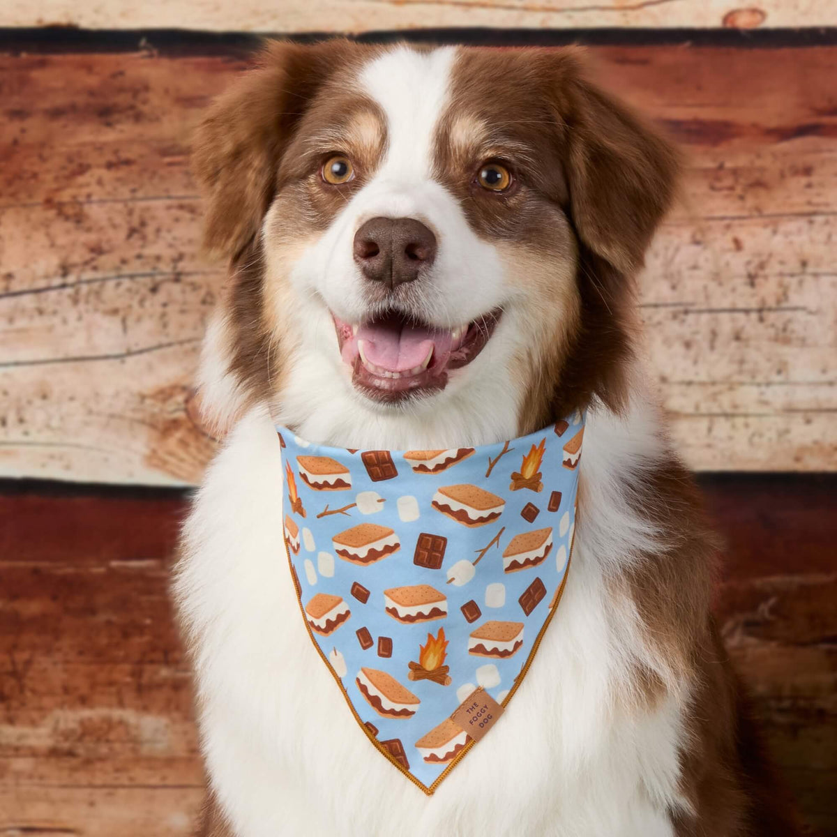 S’more to Love Dog Bandana