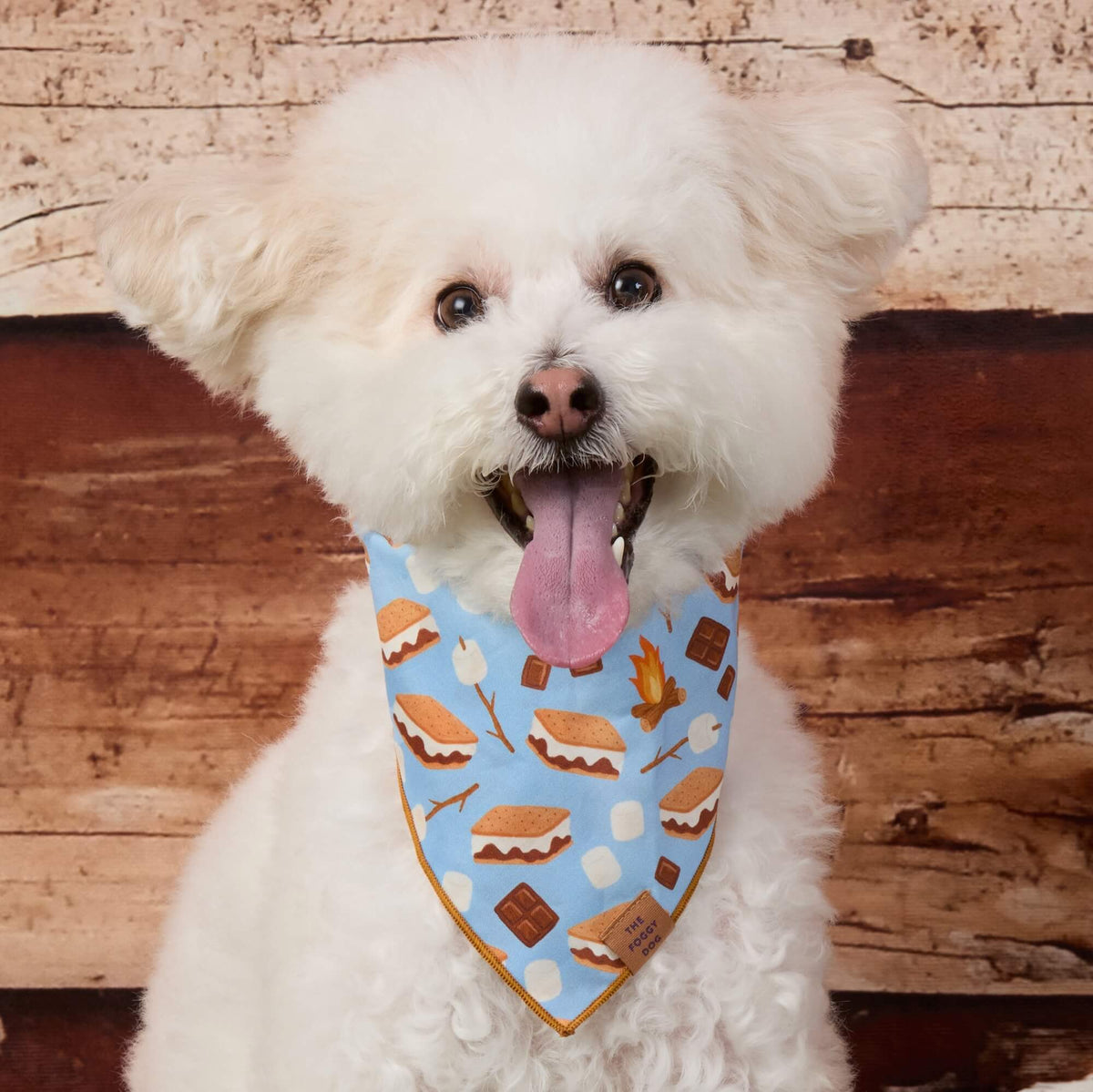 S’more to Love Dog Bandana