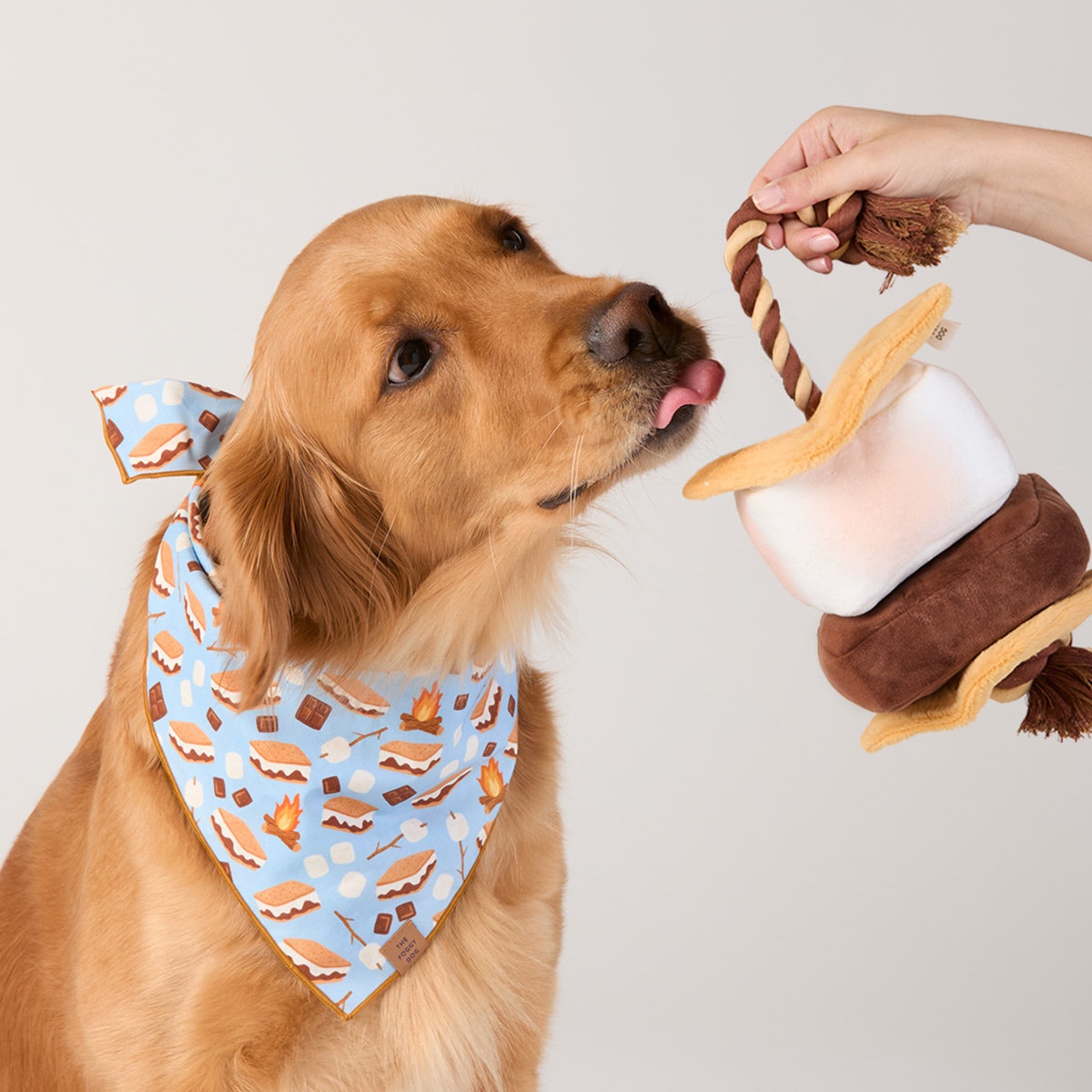 S’more to Love Dog Bandana