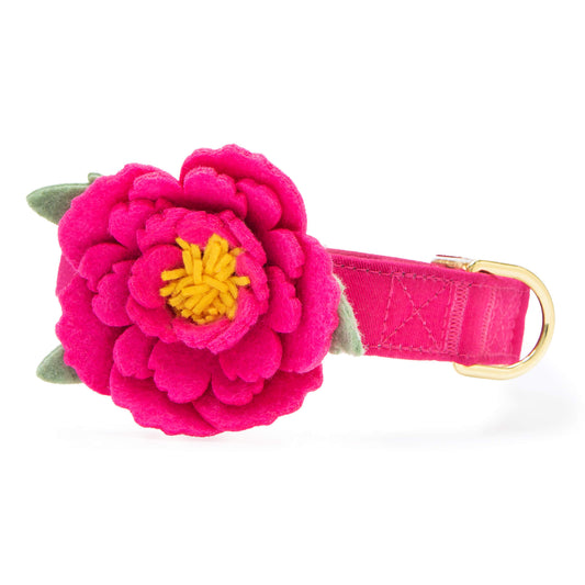 Hot Pink Peony Dog Collar Flower Set