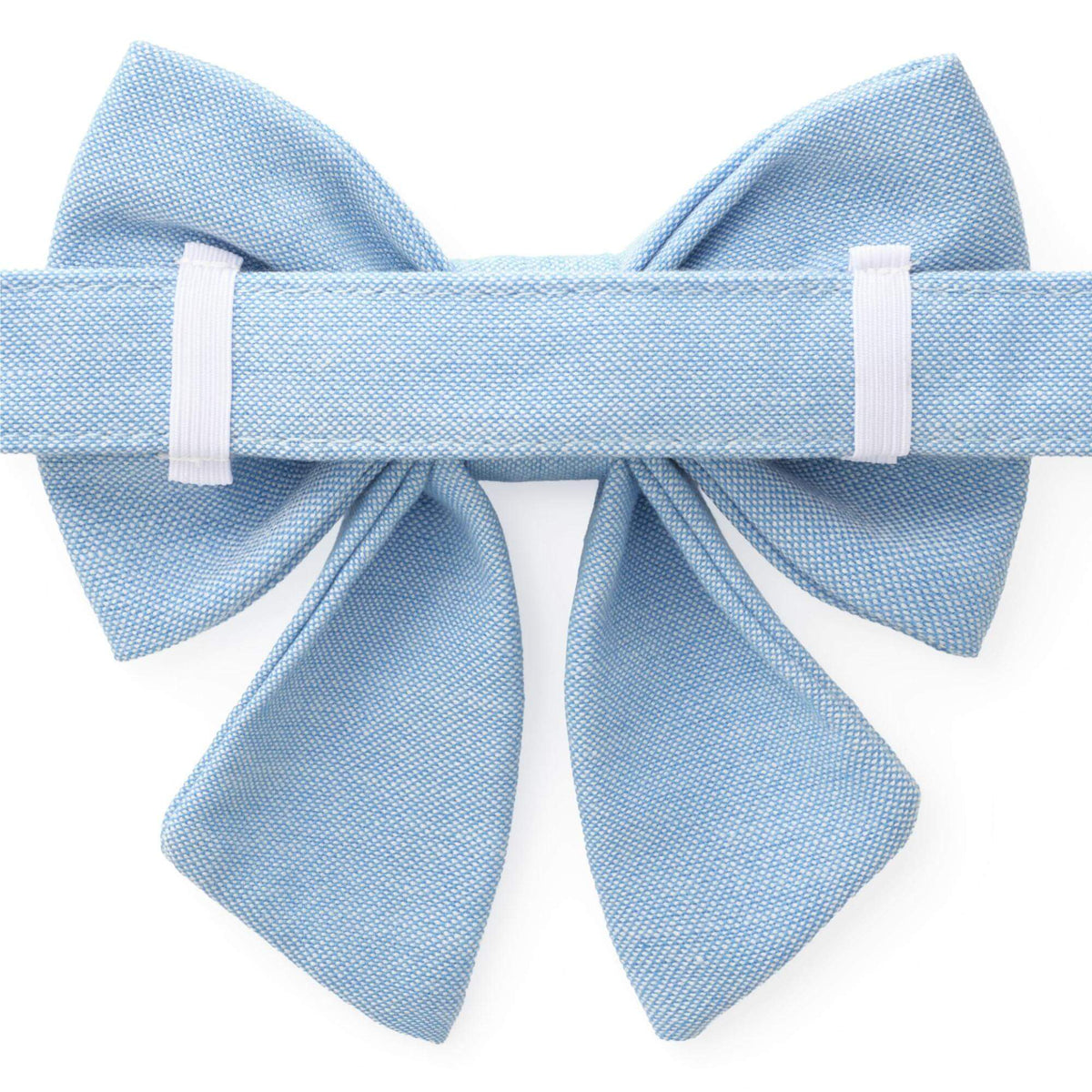 Daisy Embroidered Lady Bow Collar