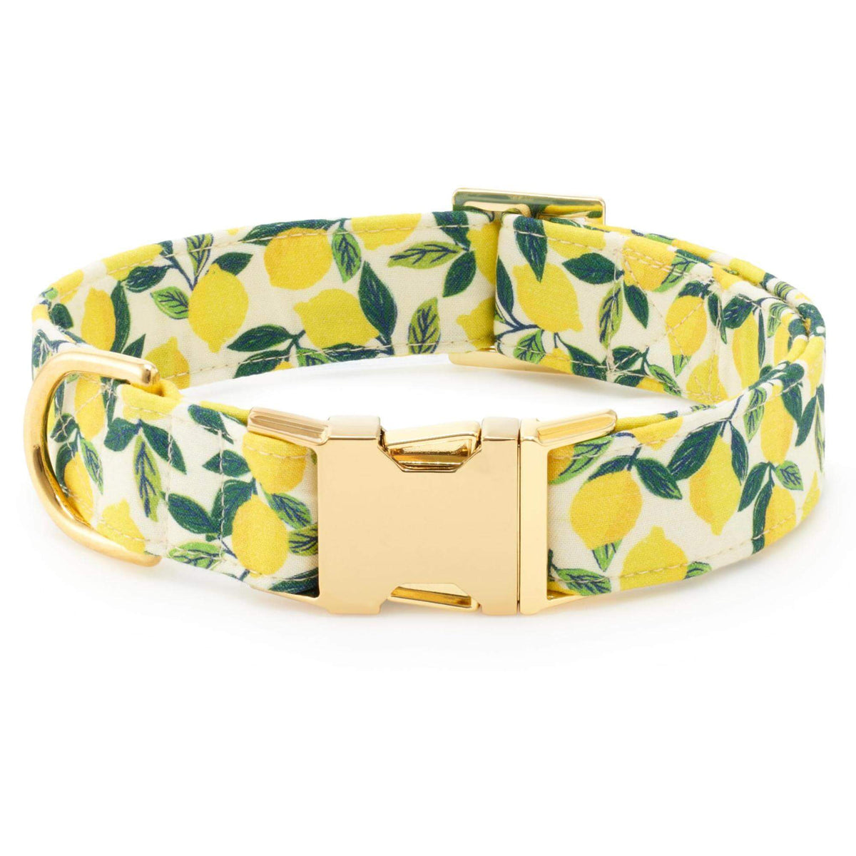 Lemon Zest Bow Tie Collar