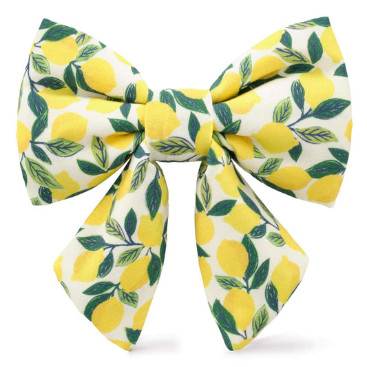 Lemon Zest Lady Dog Bow