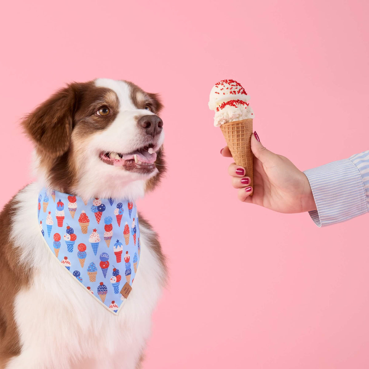 Star-Spangled Scoops Dog Bandana