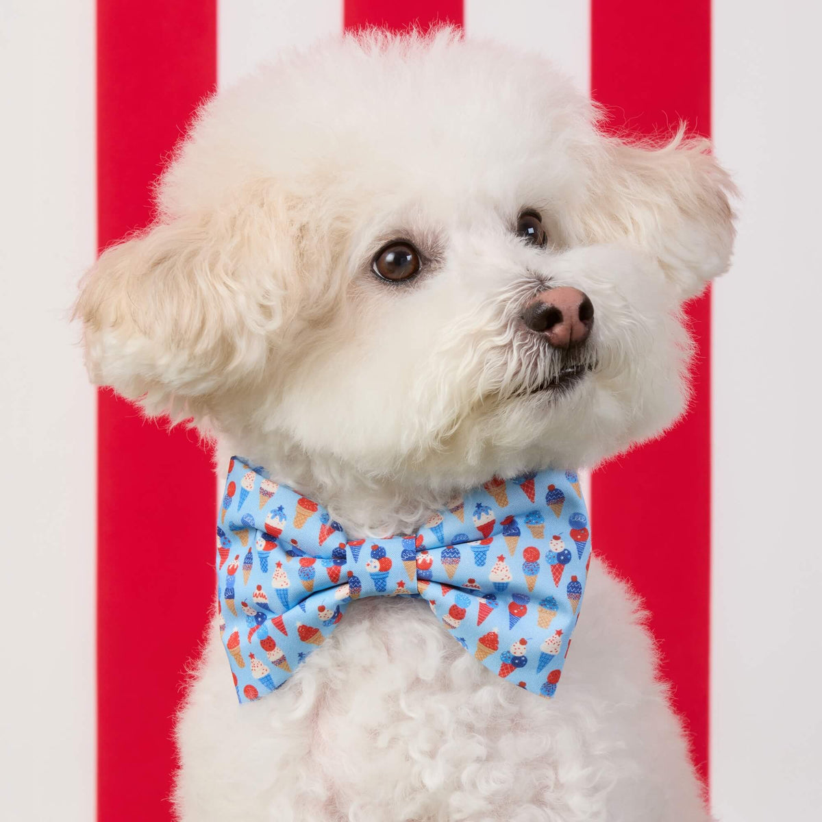 Star-Spangled Scoops Dog Bow Tie