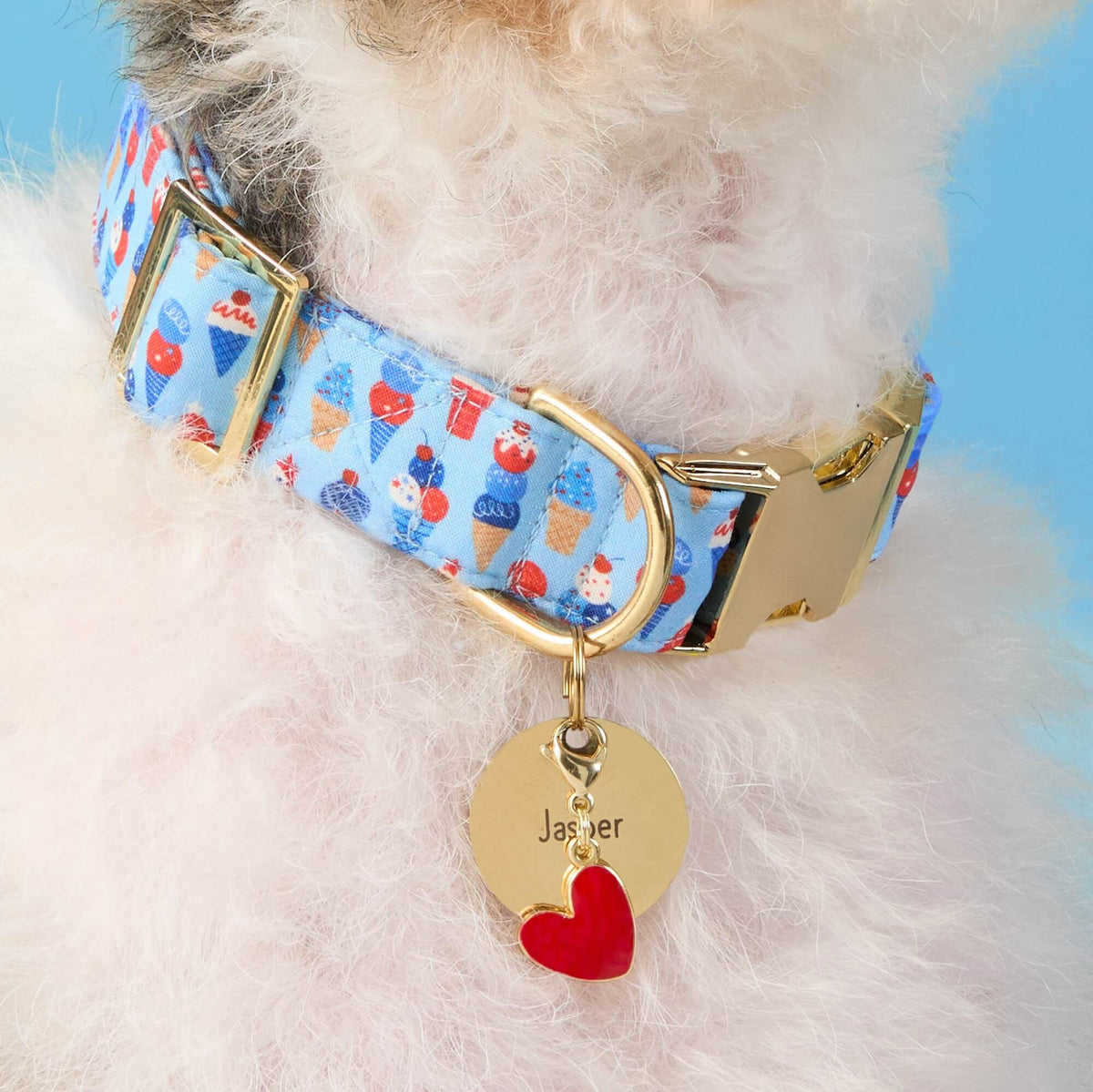 Star-Spangled Scoops Dog Collar