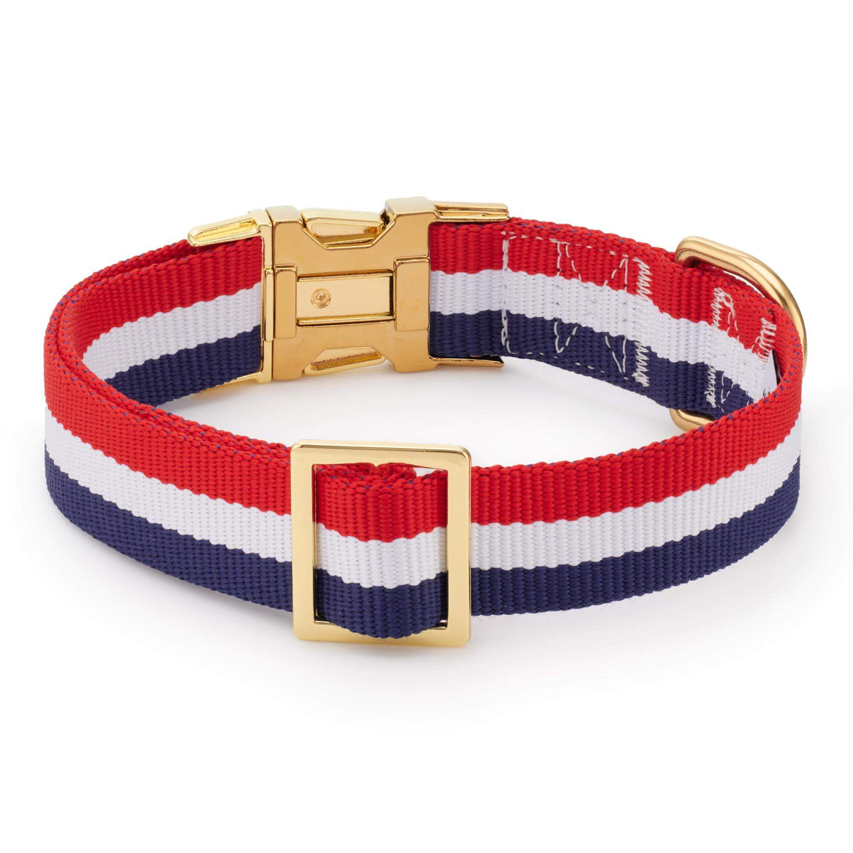 Newport Striped Webbing Dog Collar
