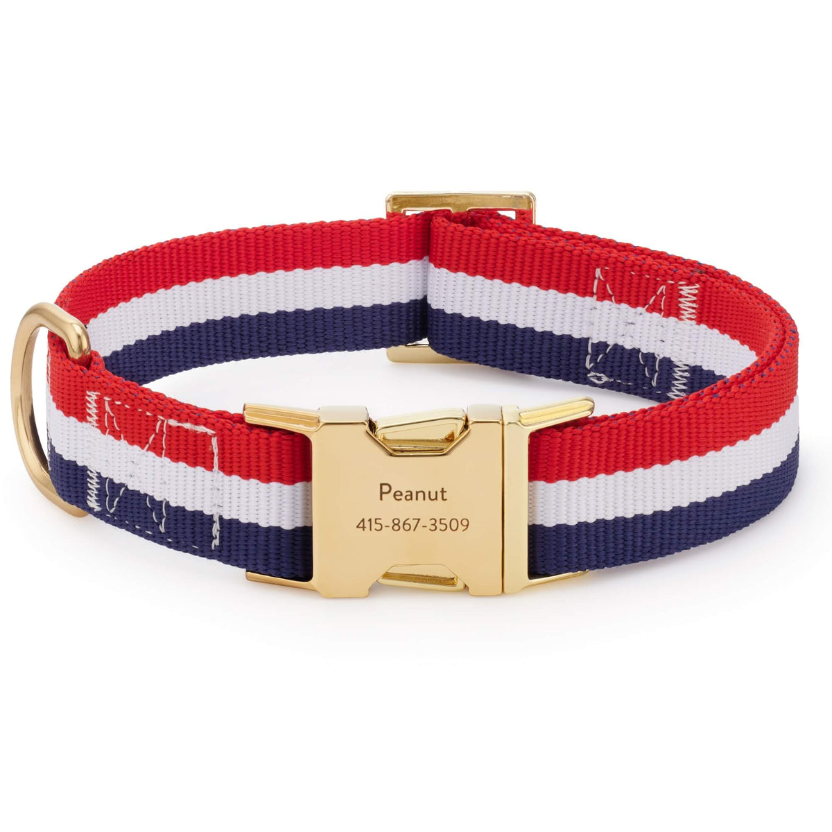 Newport Striped Webbing Dog Collar