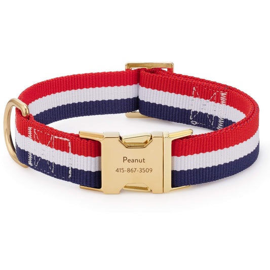 Newport Striped Webbing Dog Collar