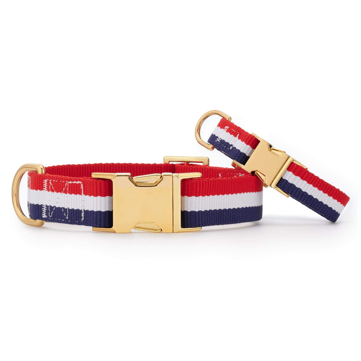 Newport Striped Webbing Dog Collar