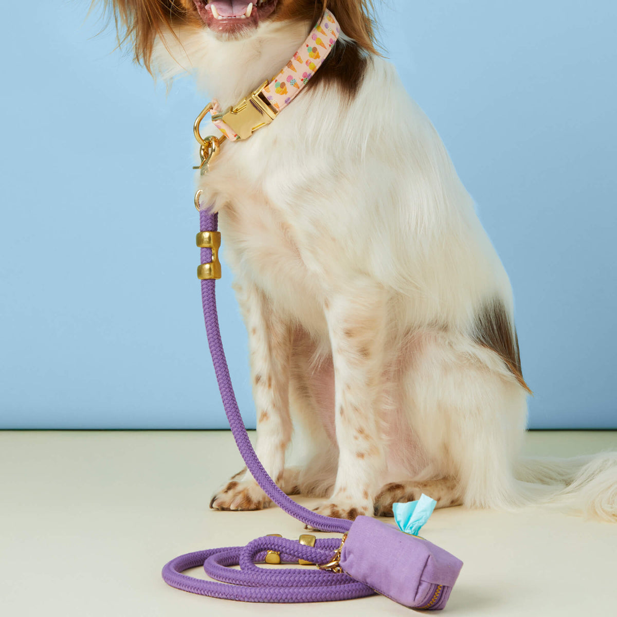 Violet Marine Rope Dog Leash