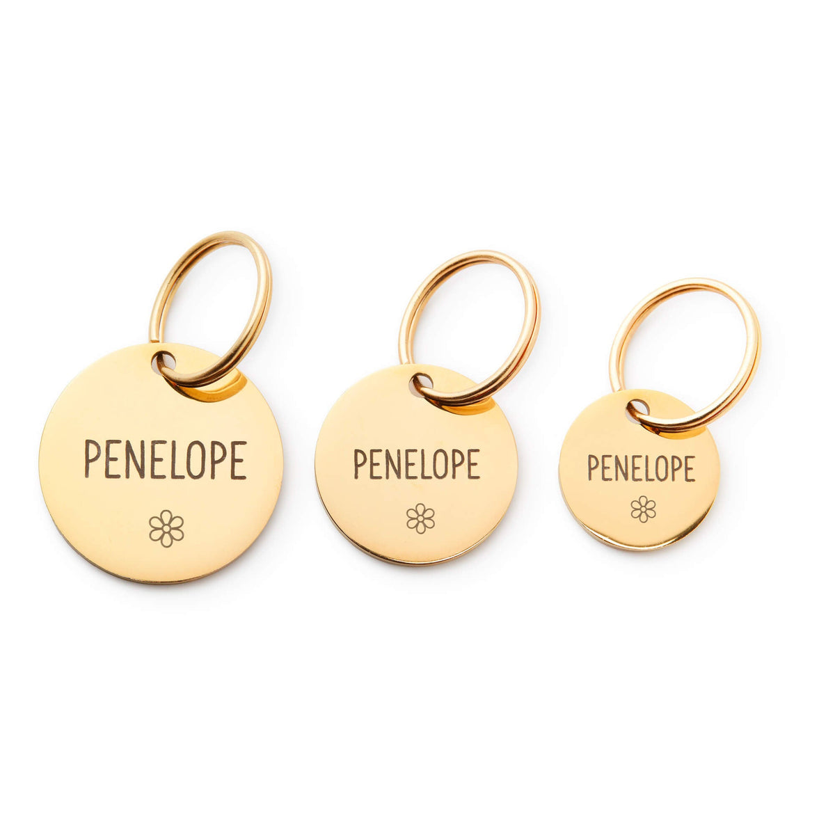 Circle Pet ID Tag: Flower Icon