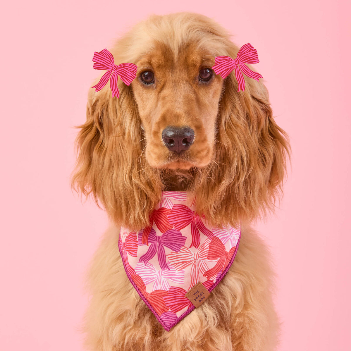 Take a Bow Dog Bandana