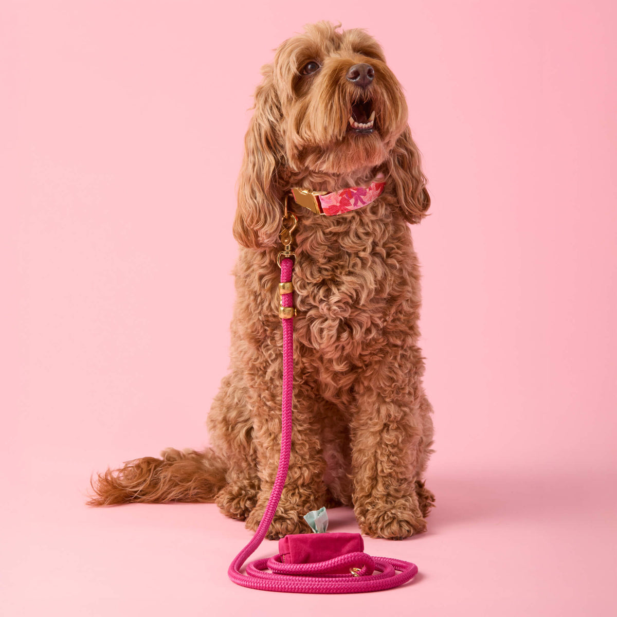 Hot Pink Marine Rope Dog Leash