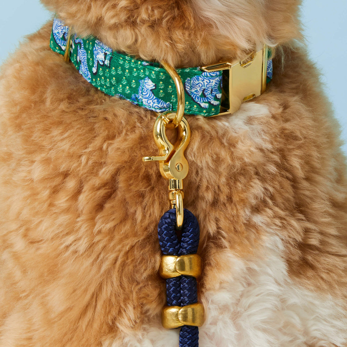 Printfresh x TFD Tiger Queen Dog Collar