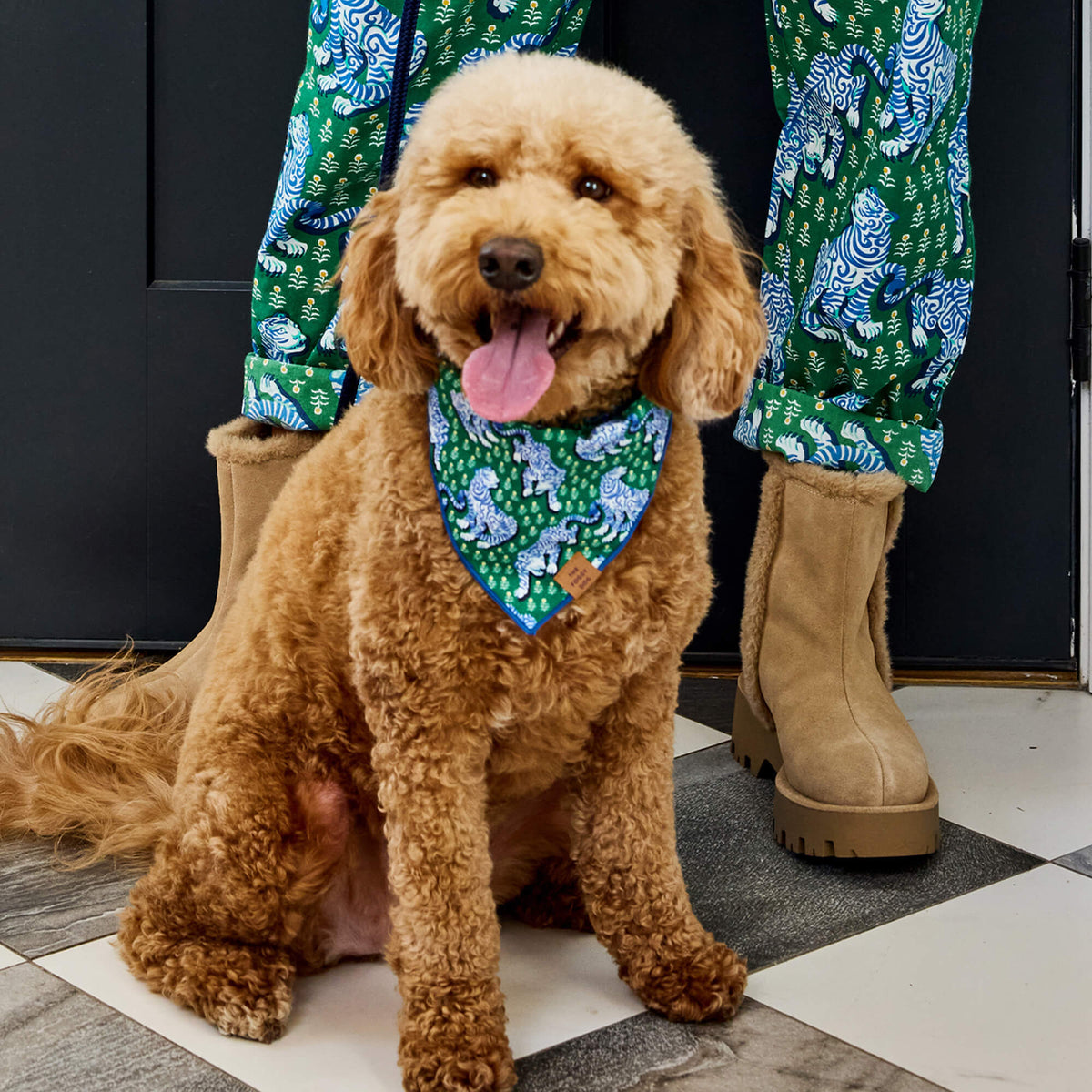 Printfresh x TFD Tiger Queen Mom + Dog Matching Gift Set (Long PJs)
