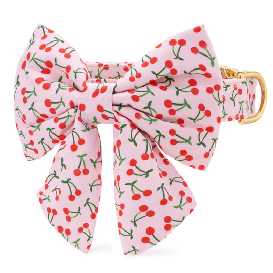Cherry Jubilee Lady Bow Collar